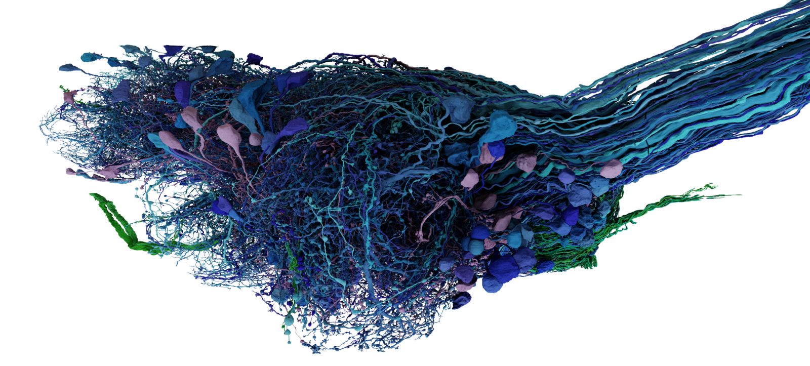 QS | A Data-Driven Scientific Visualization Workflow